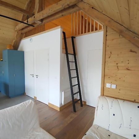 Logement Entre Lac Et Montagne آنسي المظهر الخارجي الصورة