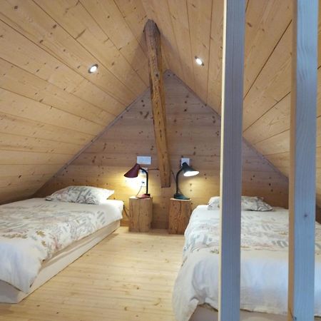 Logement Entre Lac Et Montagne آنسي المظهر الخارجي الصورة