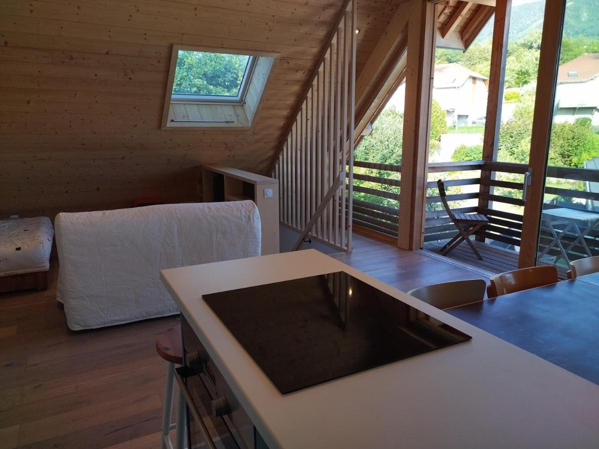 Logement Entre Lac Et Montagne آنسي المظهر الخارجي الصورة